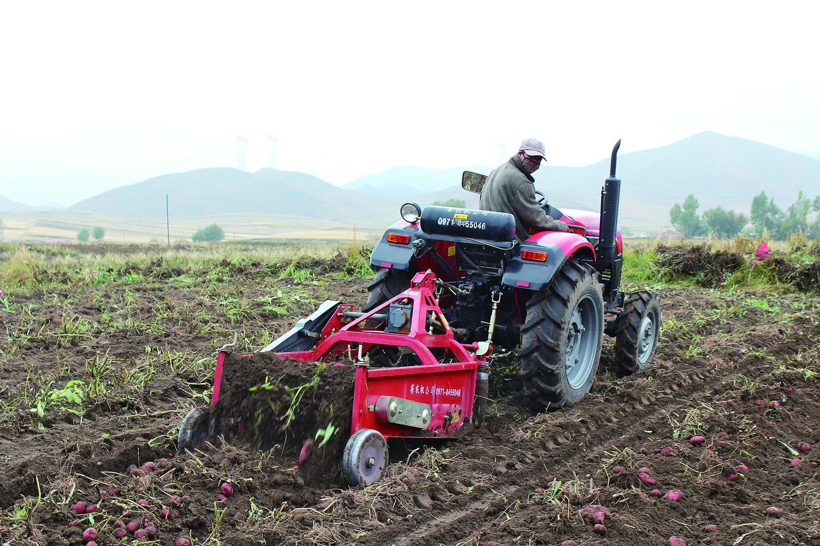 ���l(xi��ng)�����d���ຣ���ѿƼ��䵽������F(xi��n)���Q��+���ٮa(ch��n)����