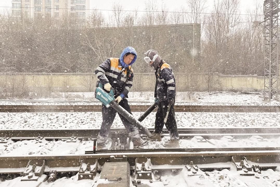 QQ�DƬ20241126063124