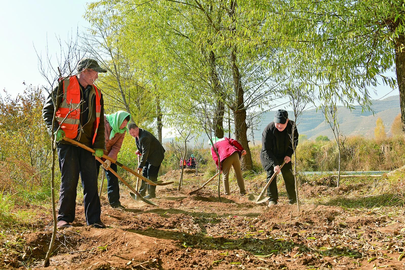 ���l�����d���ຣ������������ ���o������