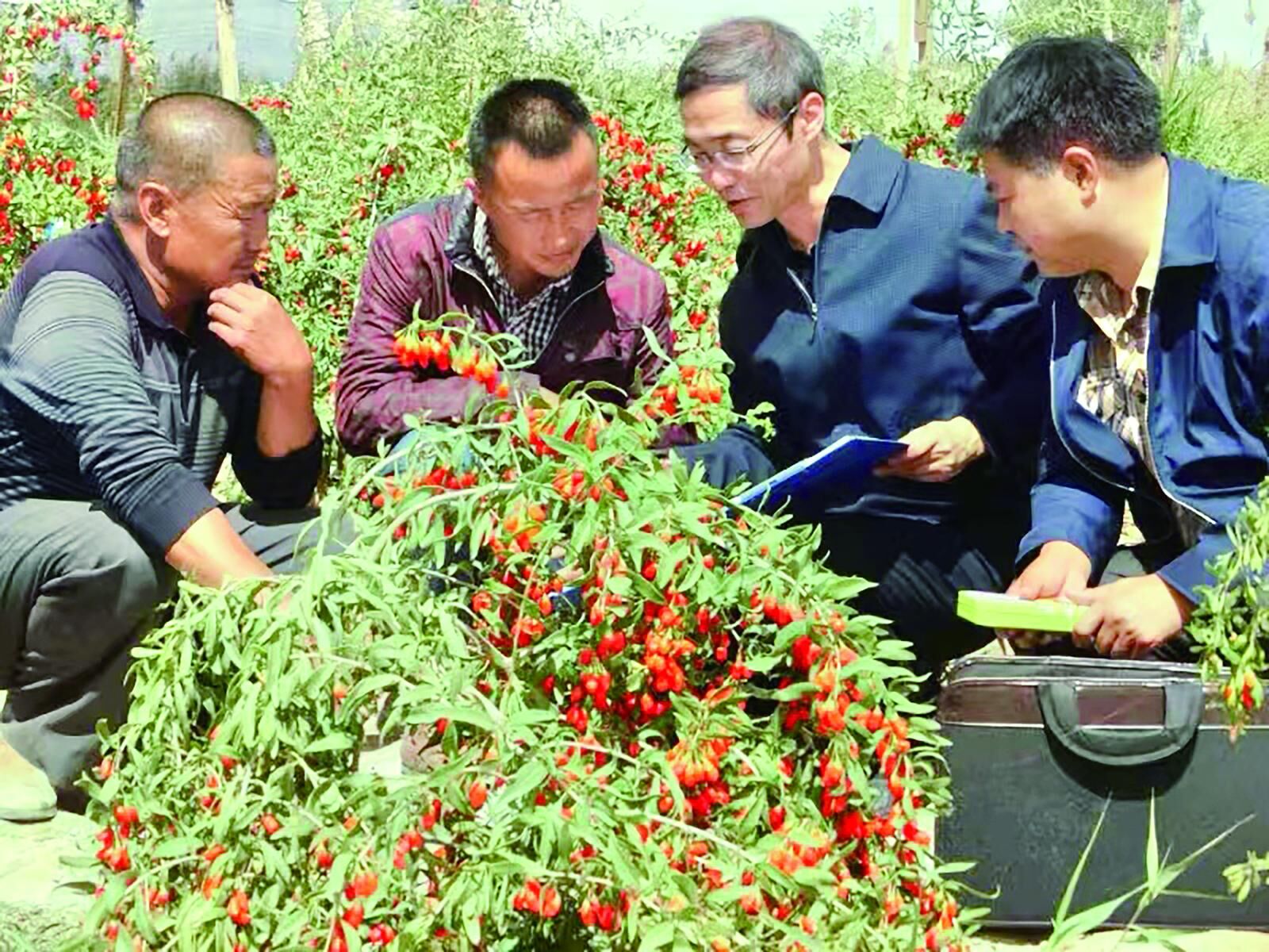 QQ�DƬ20241128062845