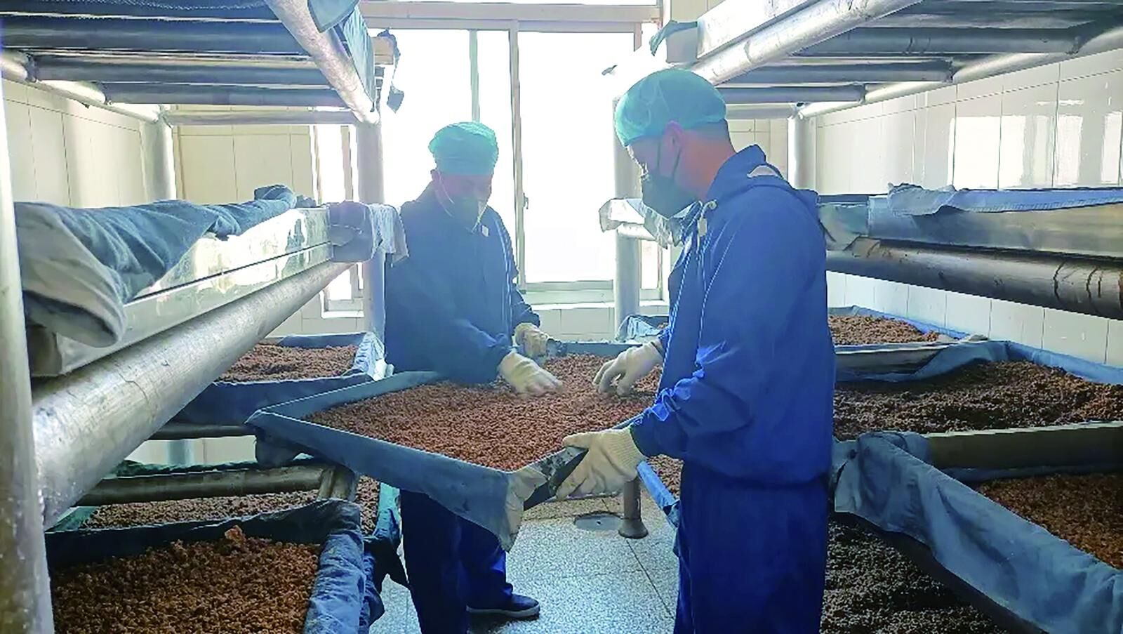 QQ�DƬ20241128062852