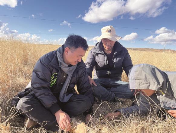 ����ԭ���͡��ľGɫ��(ji��n)��