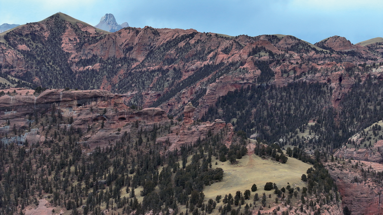 QQ�DƬ20241204063911