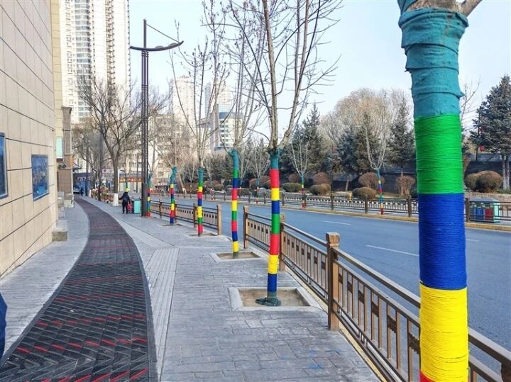 QQ�DƬ20241210063141