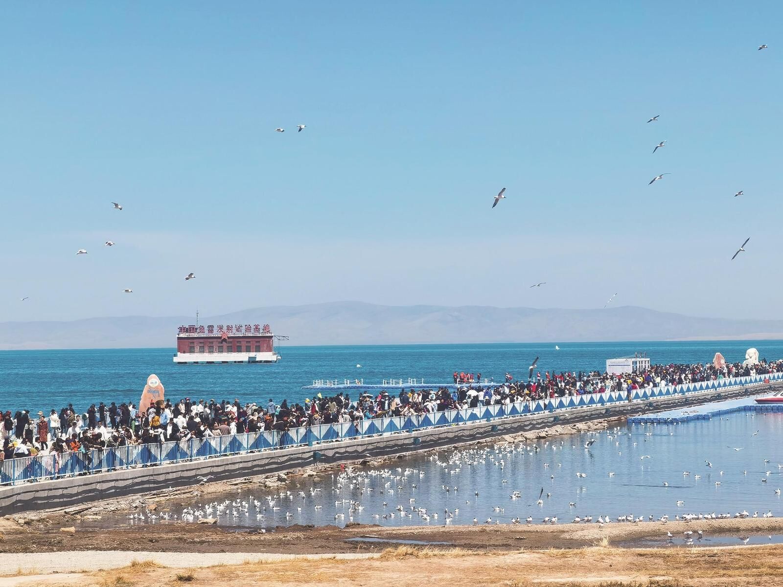 �A(y��)Ӌ(j��)����ȫʡ���ο�����516�|Ԫ