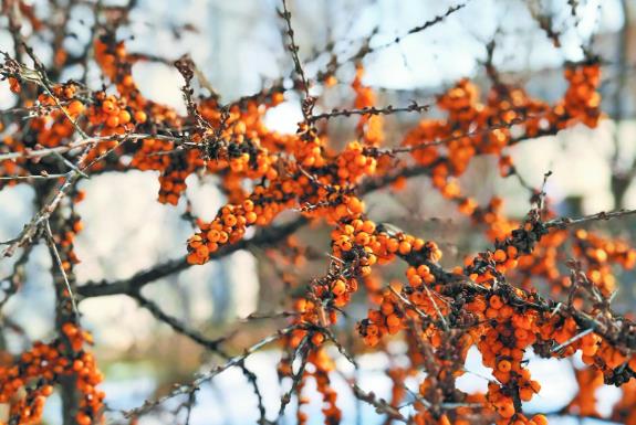 �ຣɳ���a�I�lչ�u��Ѿ���������������̖ �ߺ����d·��ϵ�Ј��֮ʮһ