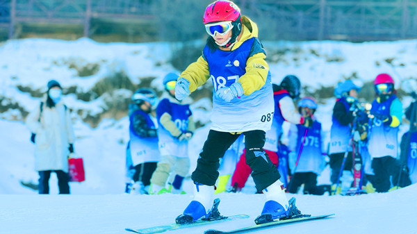 ΢�ňDƬ_20241228183833_����