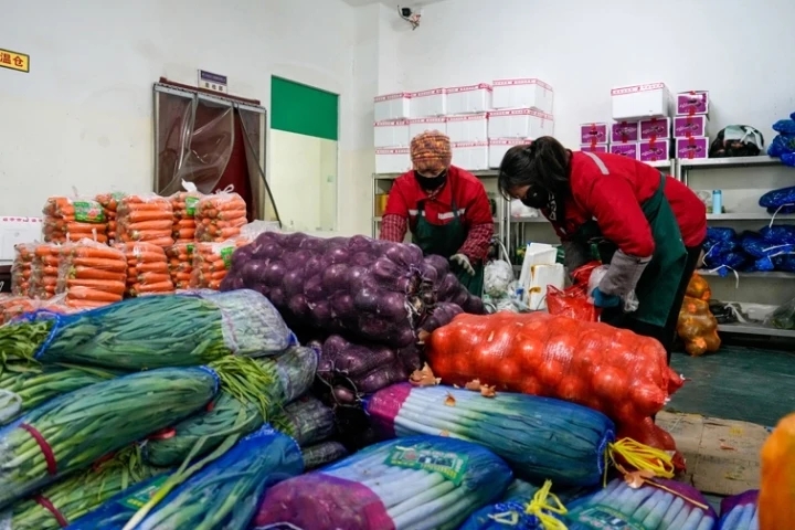 �Ӵ󹩑������������˻@�ӡ����r�R��