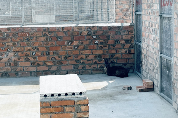 ΢�ňDƬ_20241226110655_����