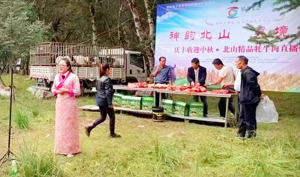 批注 2025-01-16 162534_副本