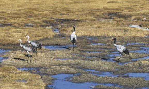 ���ɕ��ؿ��������^�졿��ӛ����֮���ߡ� �������B�����ߵ�