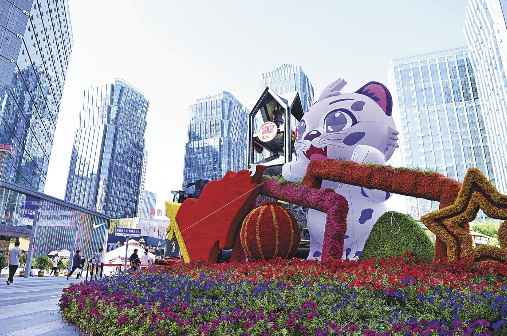 ΢�Ž؈D_20250120082954