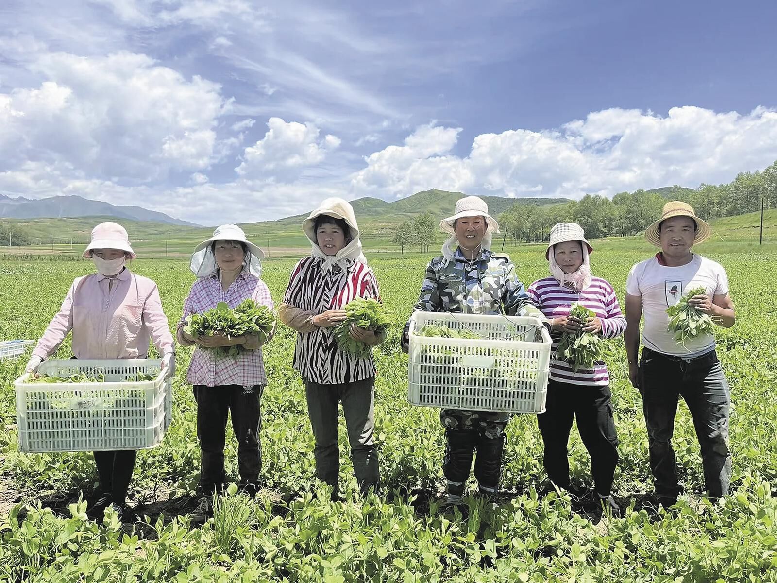 QQ�DƬ20250122063539