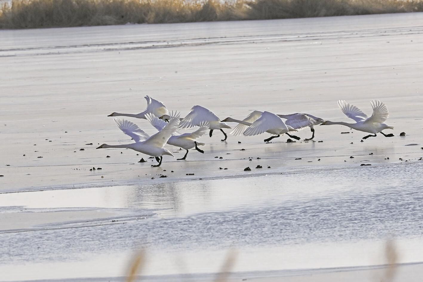 QQ�DƬ20250122075427