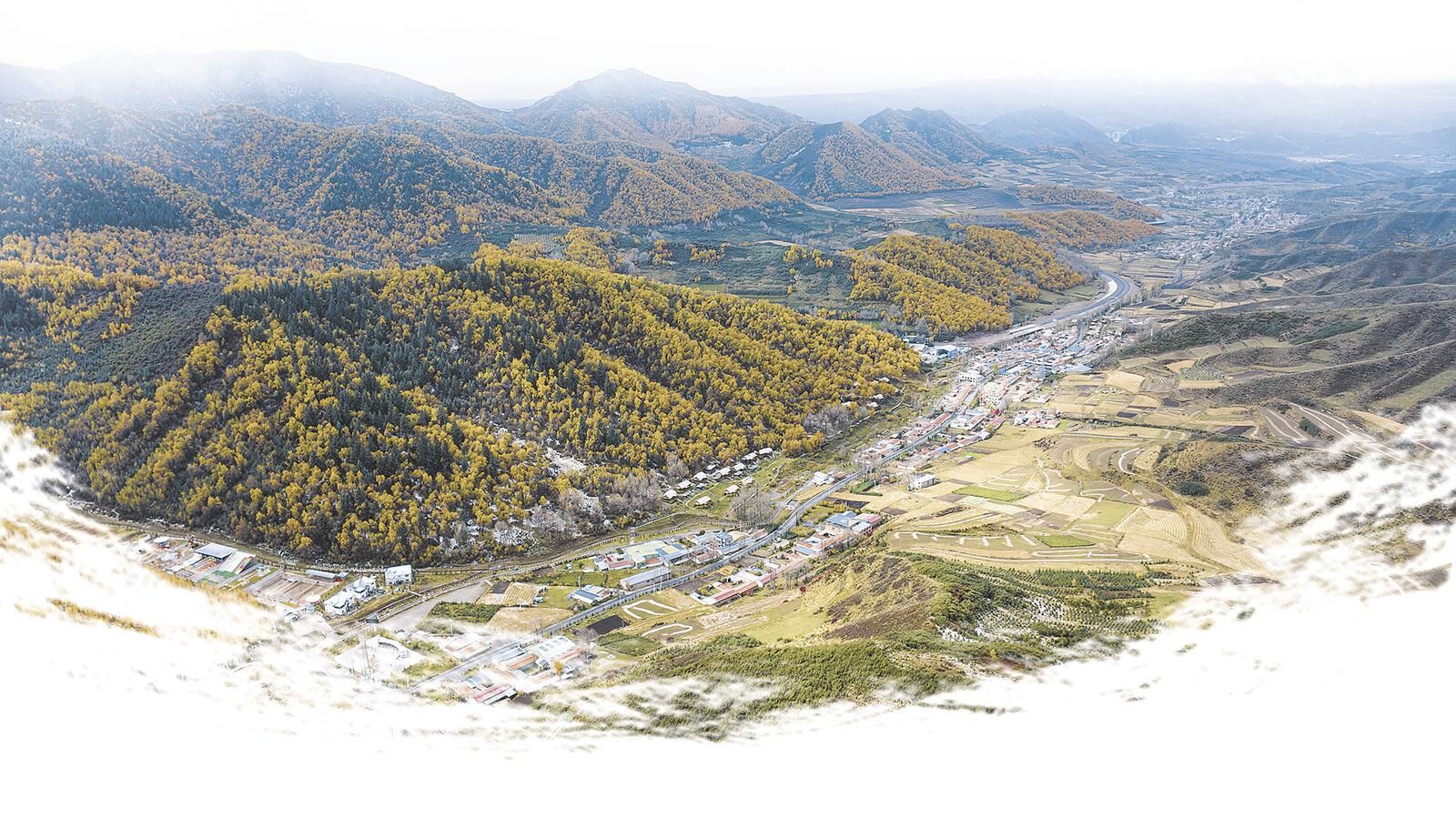 QQ�DƬ20250124061701