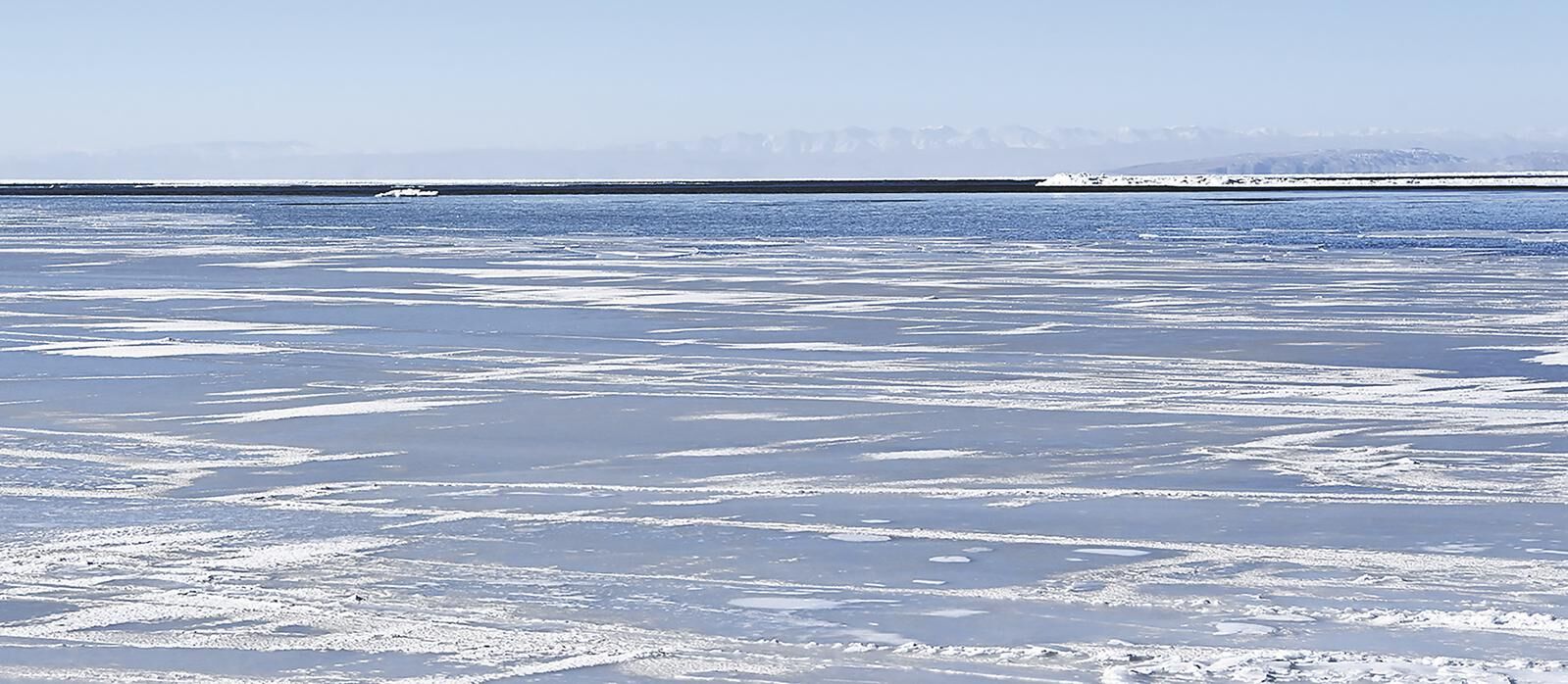 QQ�DƬ20250206061601