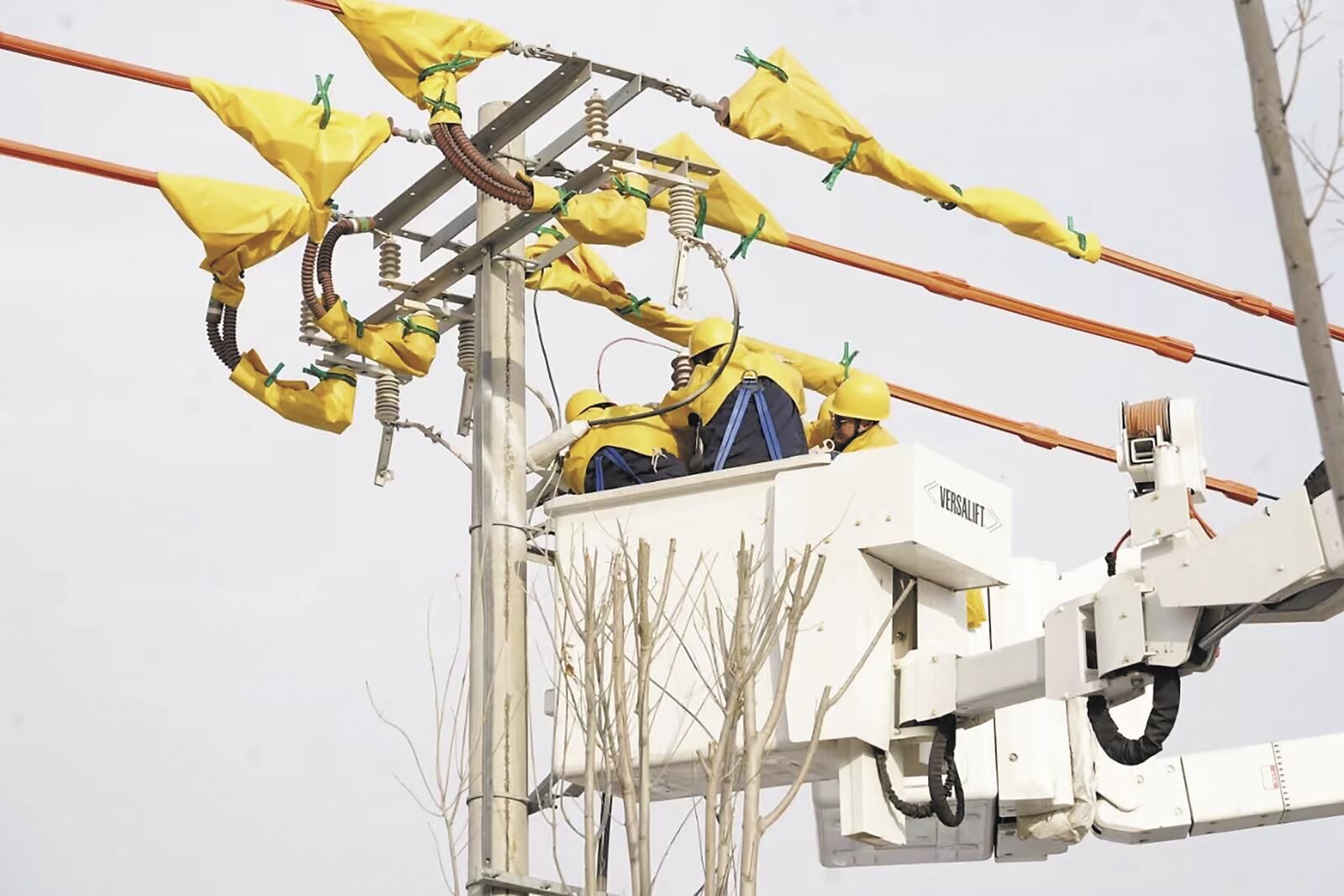 QQ�DƬ20250208060022