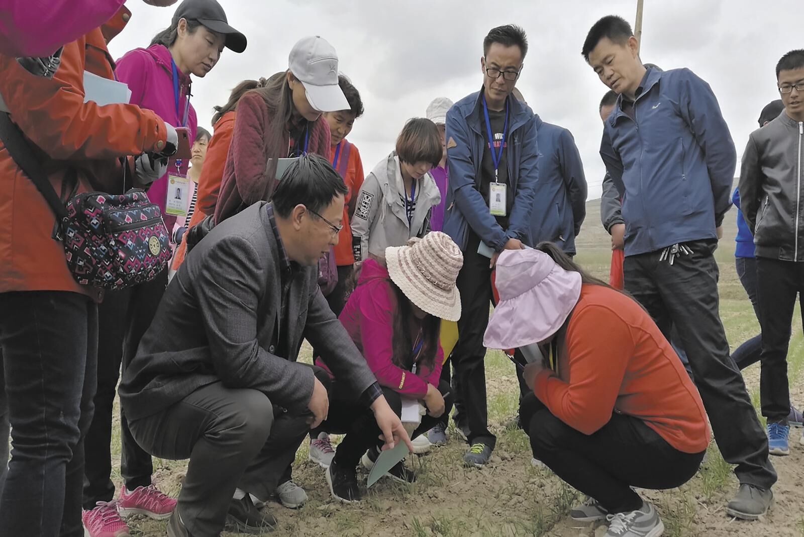 QQ�DƬ20250213061818