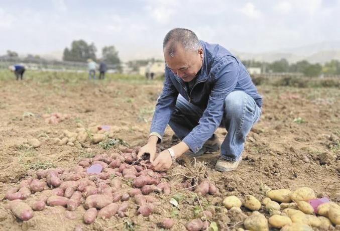 QQ�DƬ20250213061824