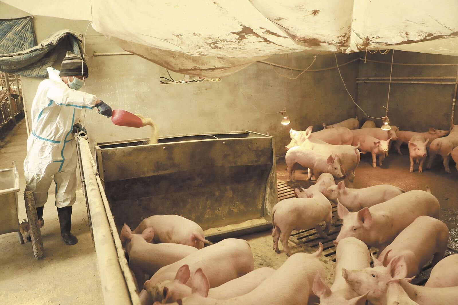 QQ�DƬ20250213062249