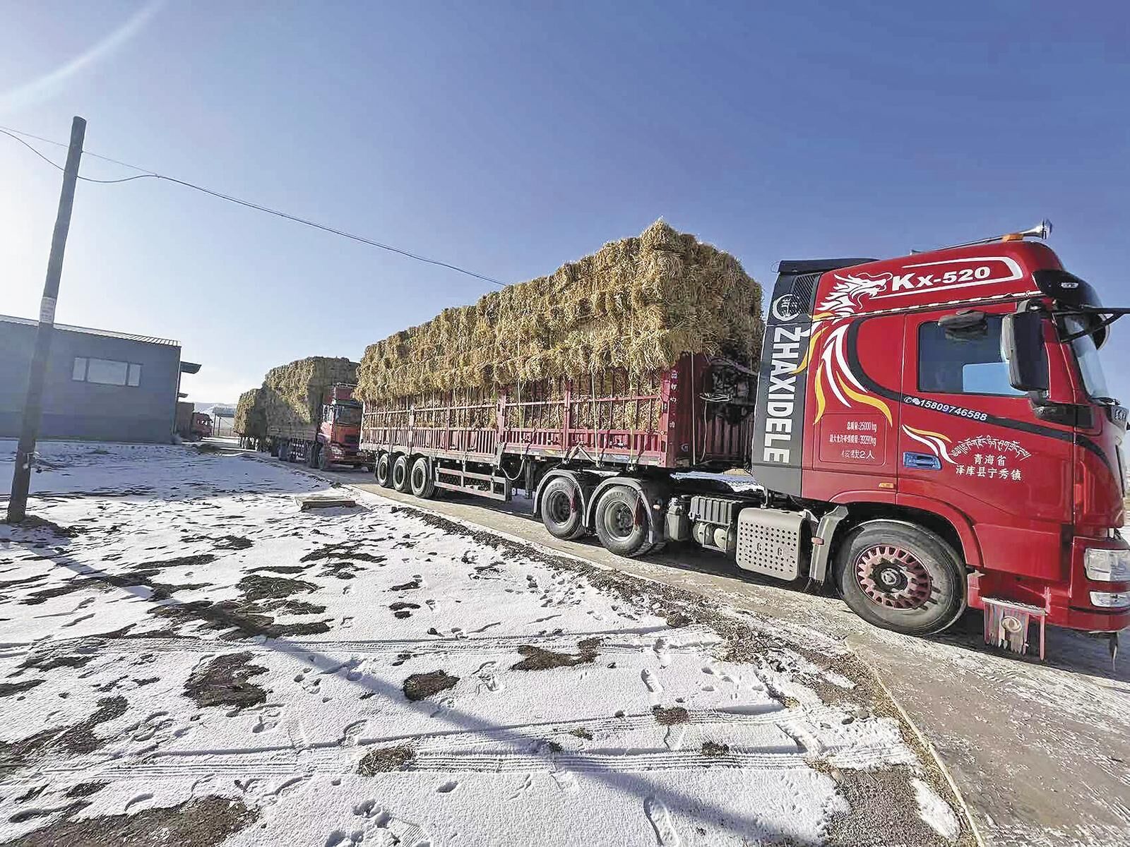 QQ�DƬ20250215061013