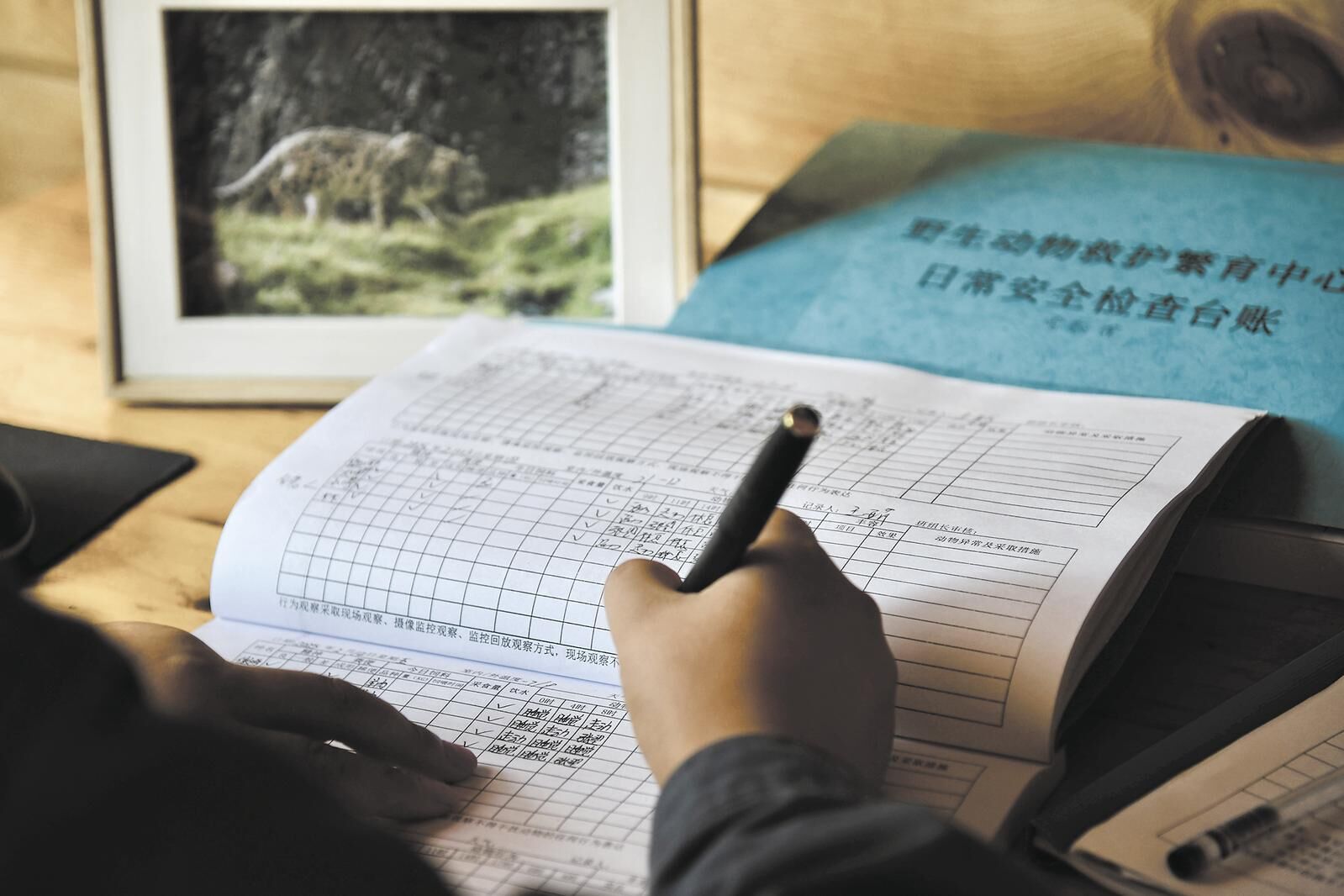 QQ�DƬ20250219061804