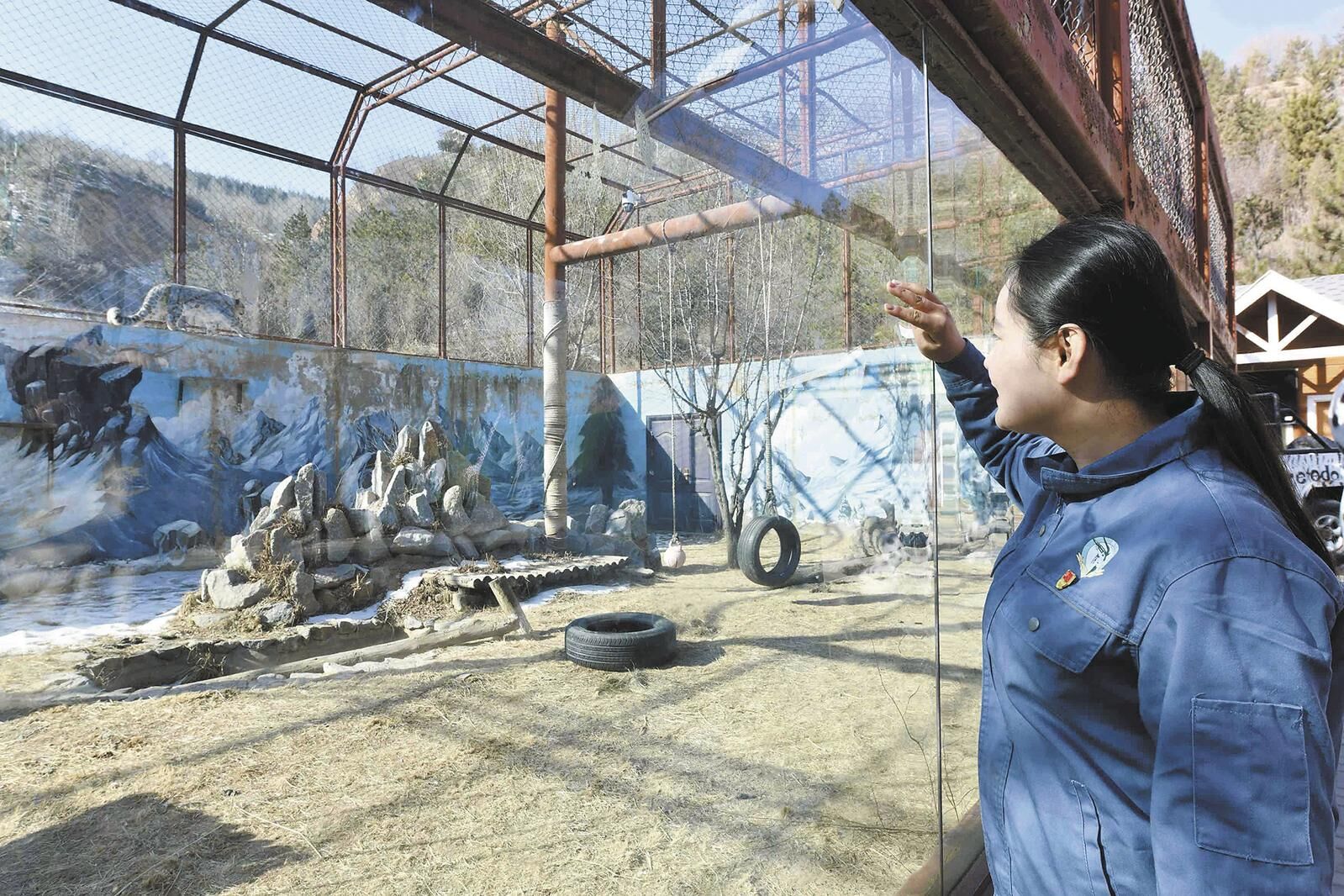 QQ�DƬ20250219061832