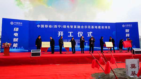 DSC08518_����