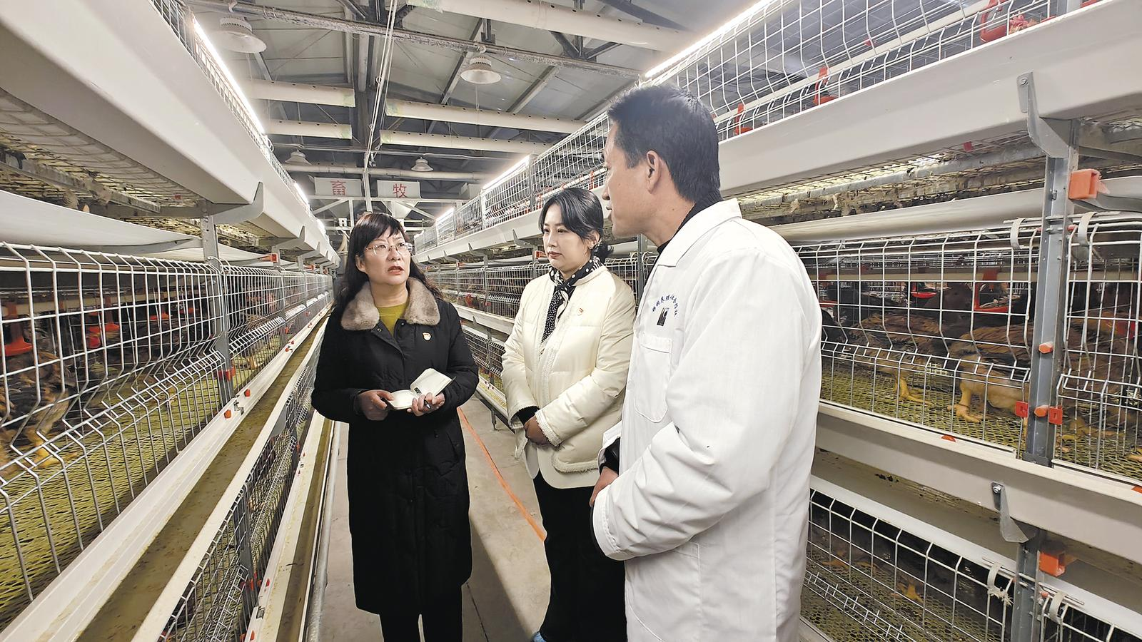 ΢�ňDƬ_20250223063657