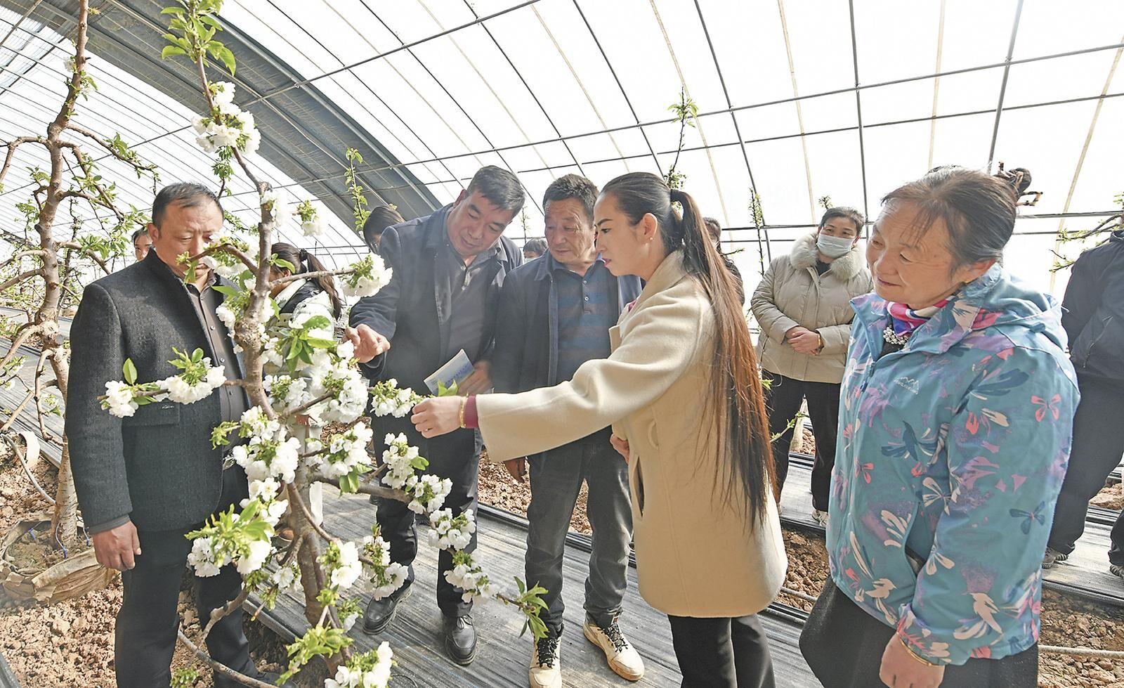 QQ�DƬ20250225061406