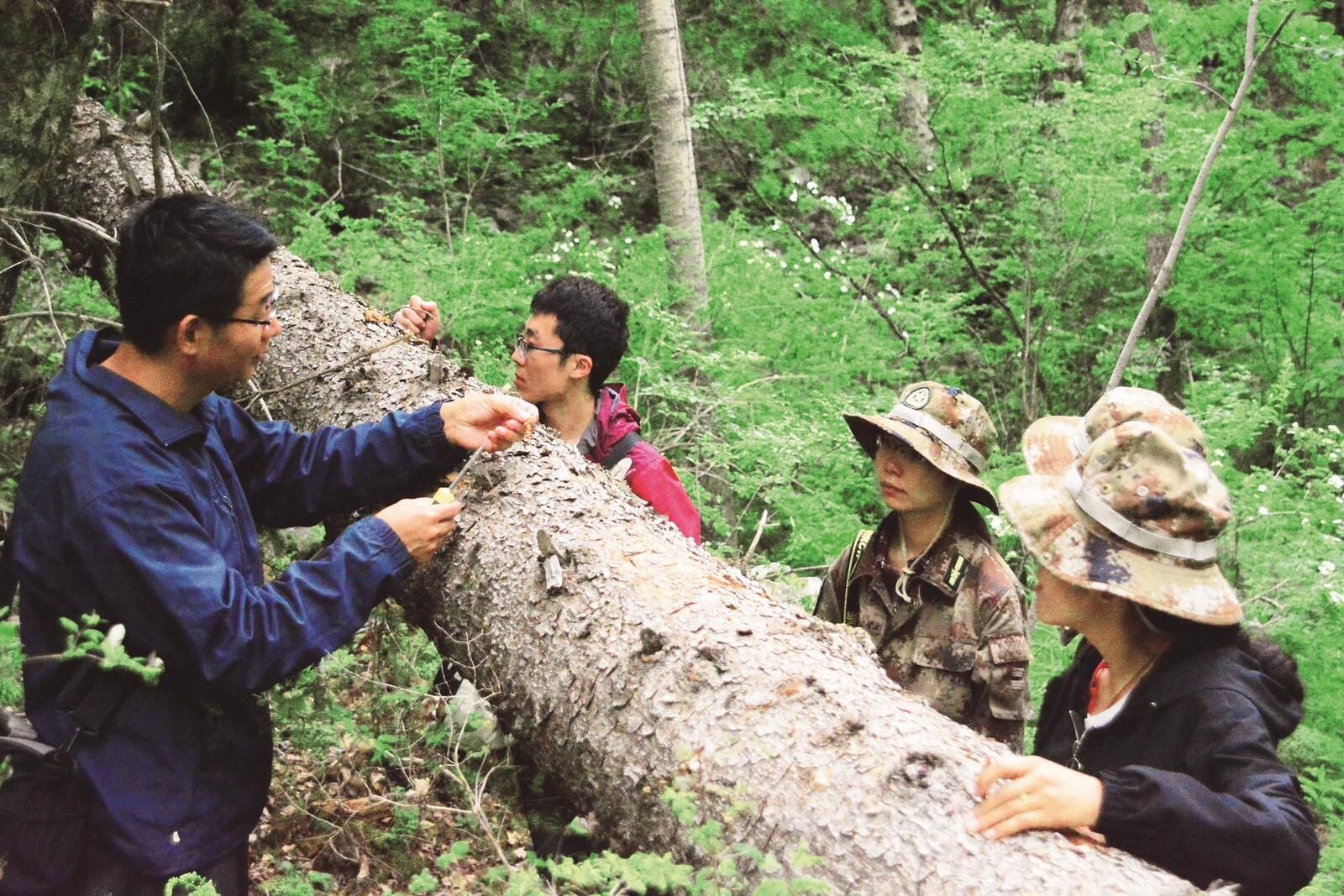 QQ�DƬ20250227063748