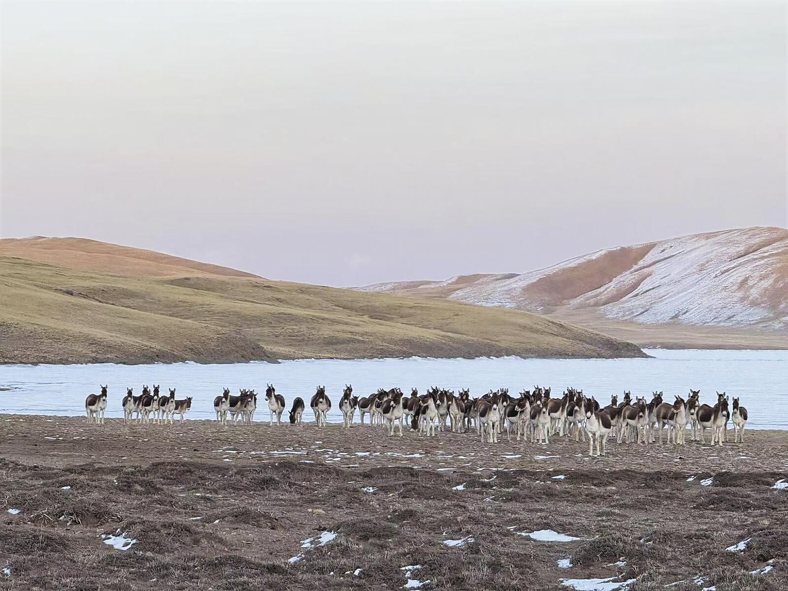 QQ�DƬ20250301061937