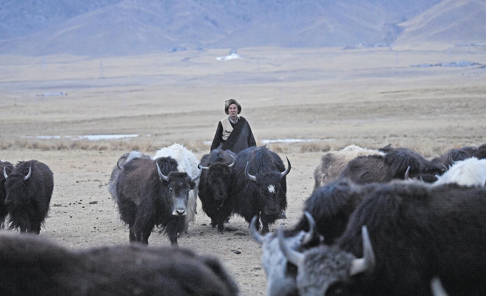 QQ�DƬ20250305062920