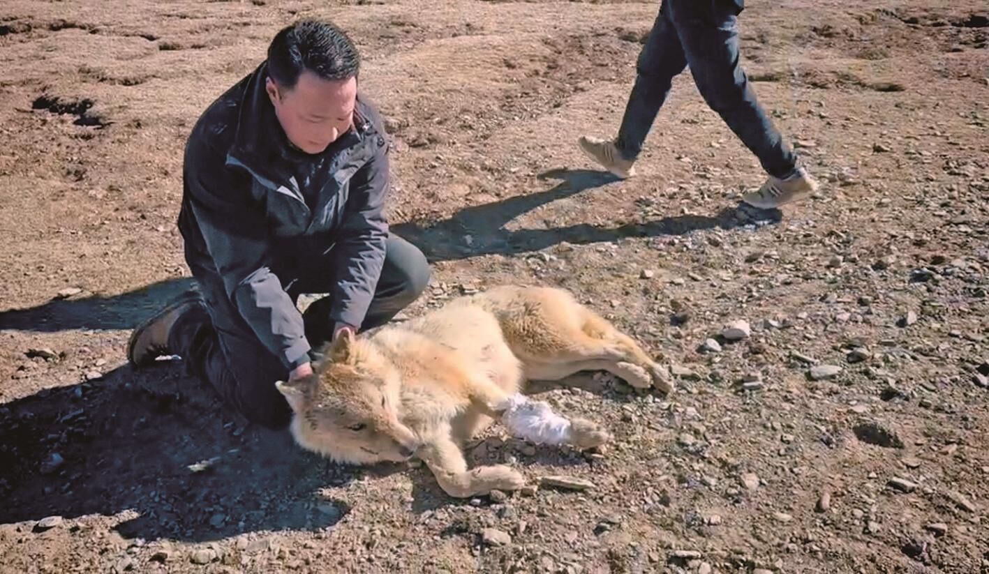 QQ�DƬ20250305065355