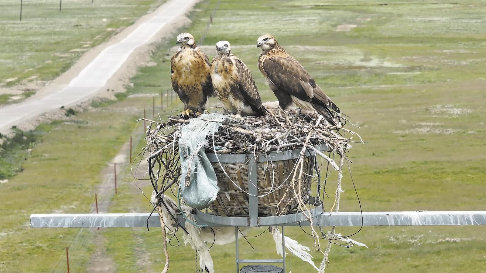 QQ�DƬ20250307063710