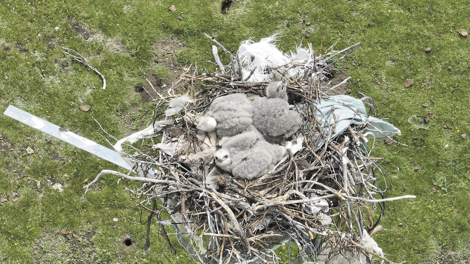 QQ�DƬ20250307063717