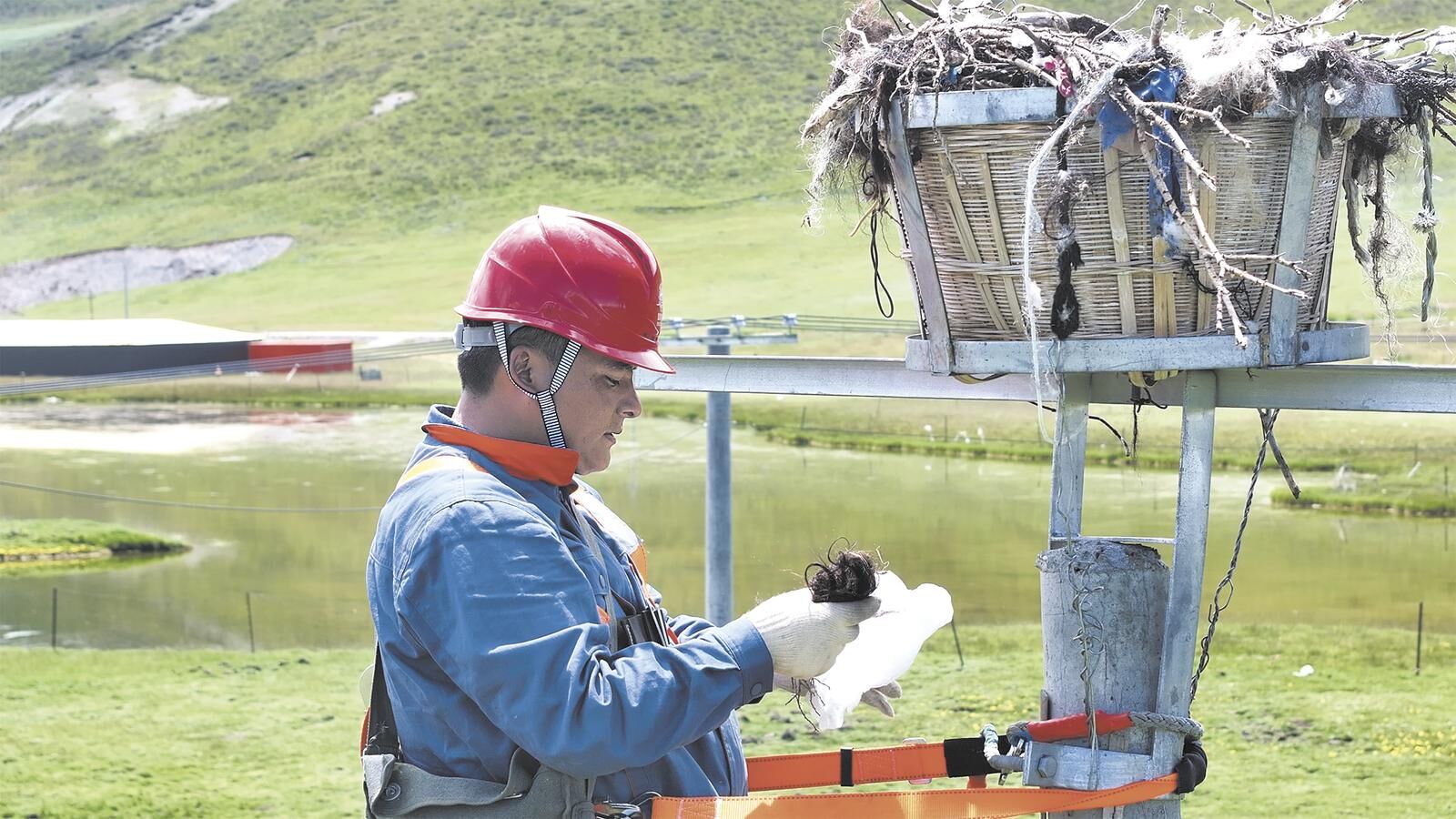 QQ�DƬ20250307063724