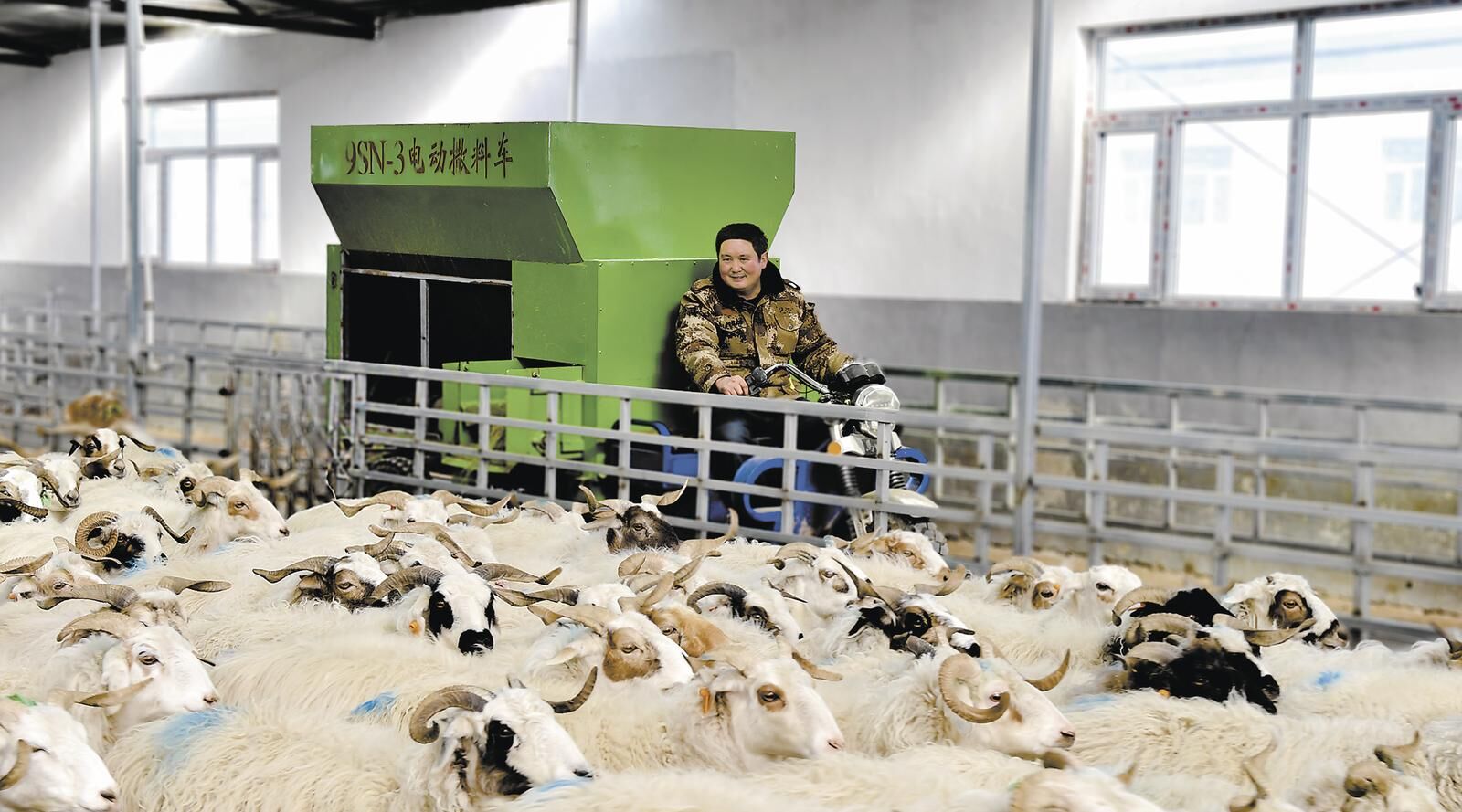 QQ�DƬ20250307065454