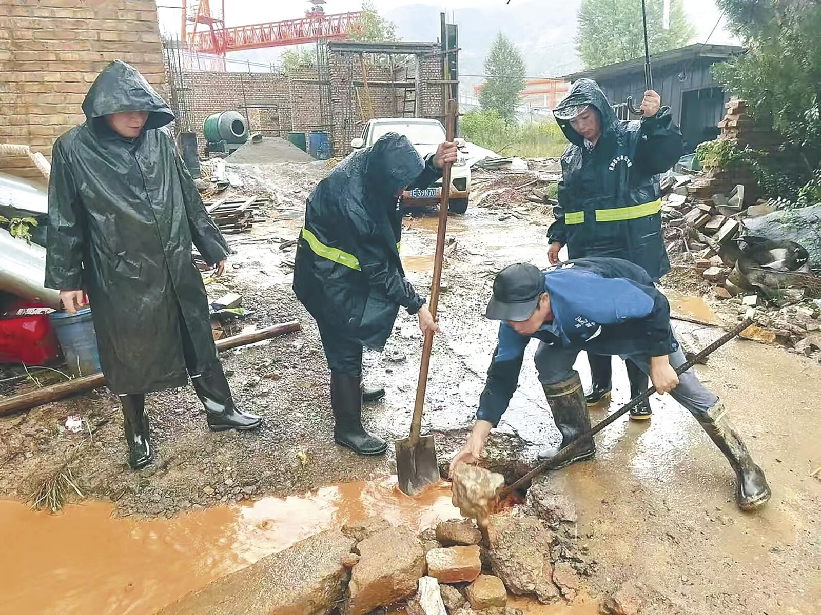 QQ�DƬ20250311054202