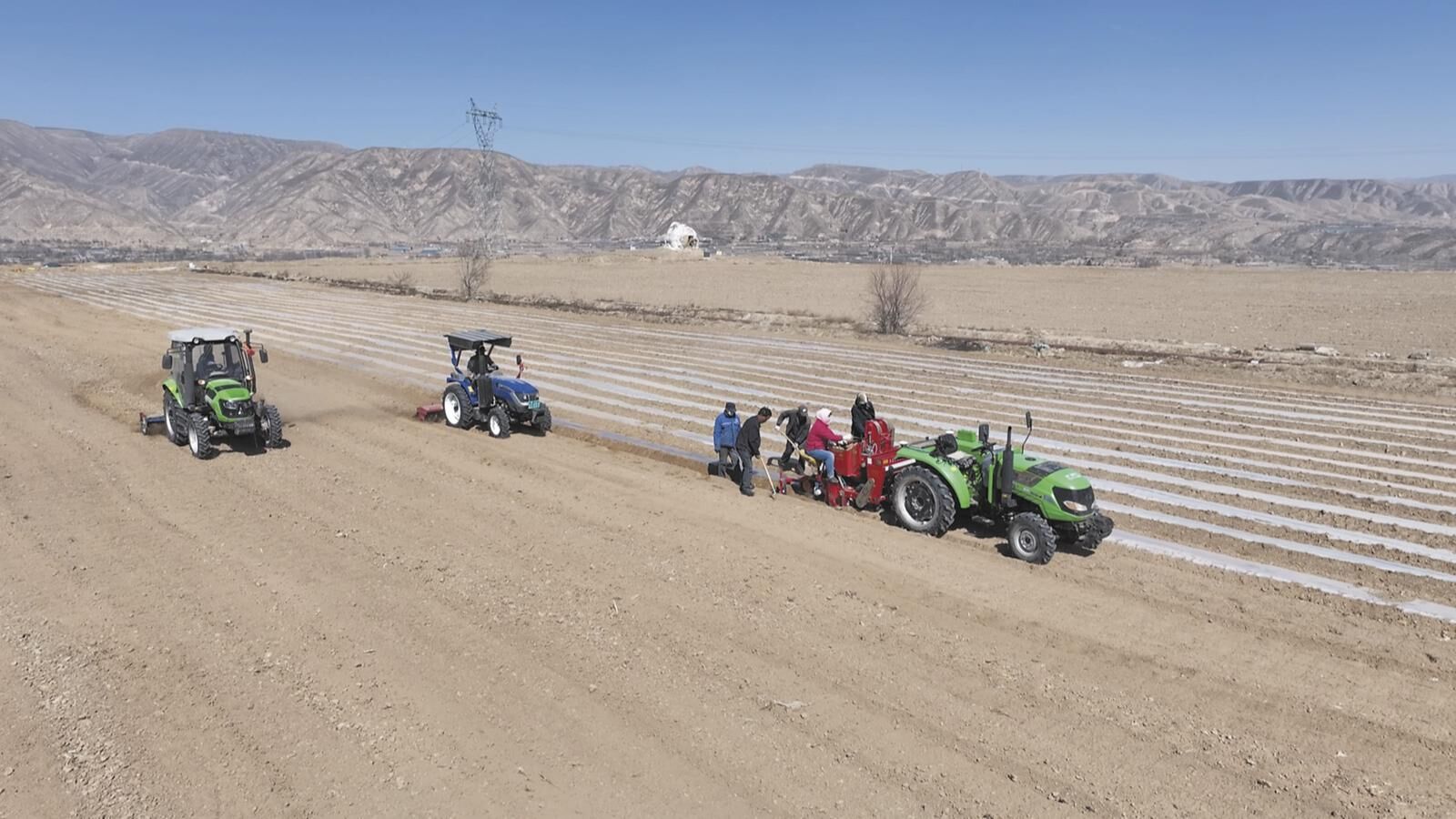 QQ�DƬ20250311061111