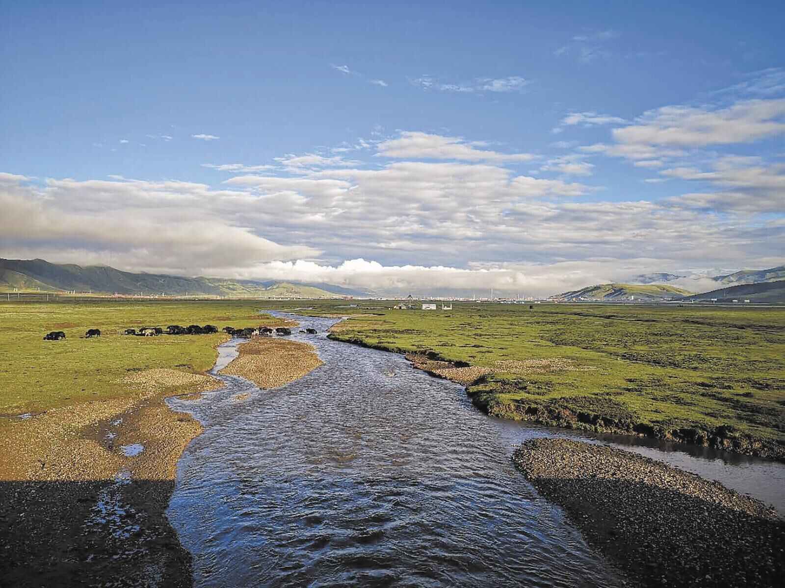 QQ�DƬ20250311063018