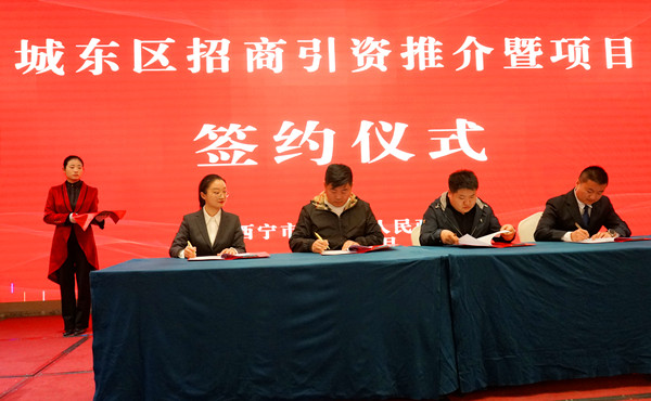 DSC08728_����