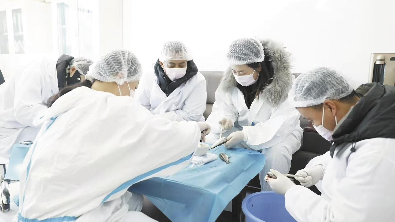 QQ�DƬ20250313054040