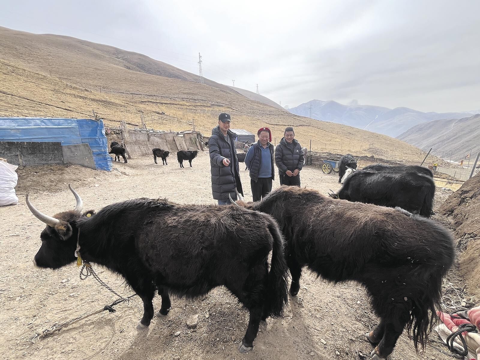 QQ�DƬ20250313055240