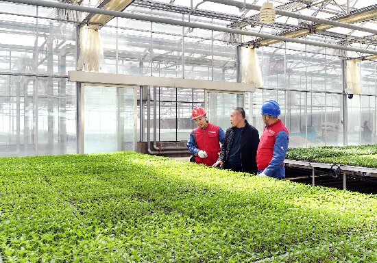 ΢�ňDƬ_20250313134927