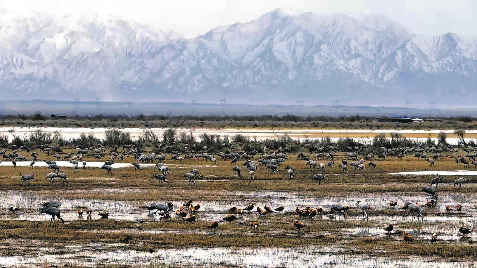 微信圖片_20250316061501