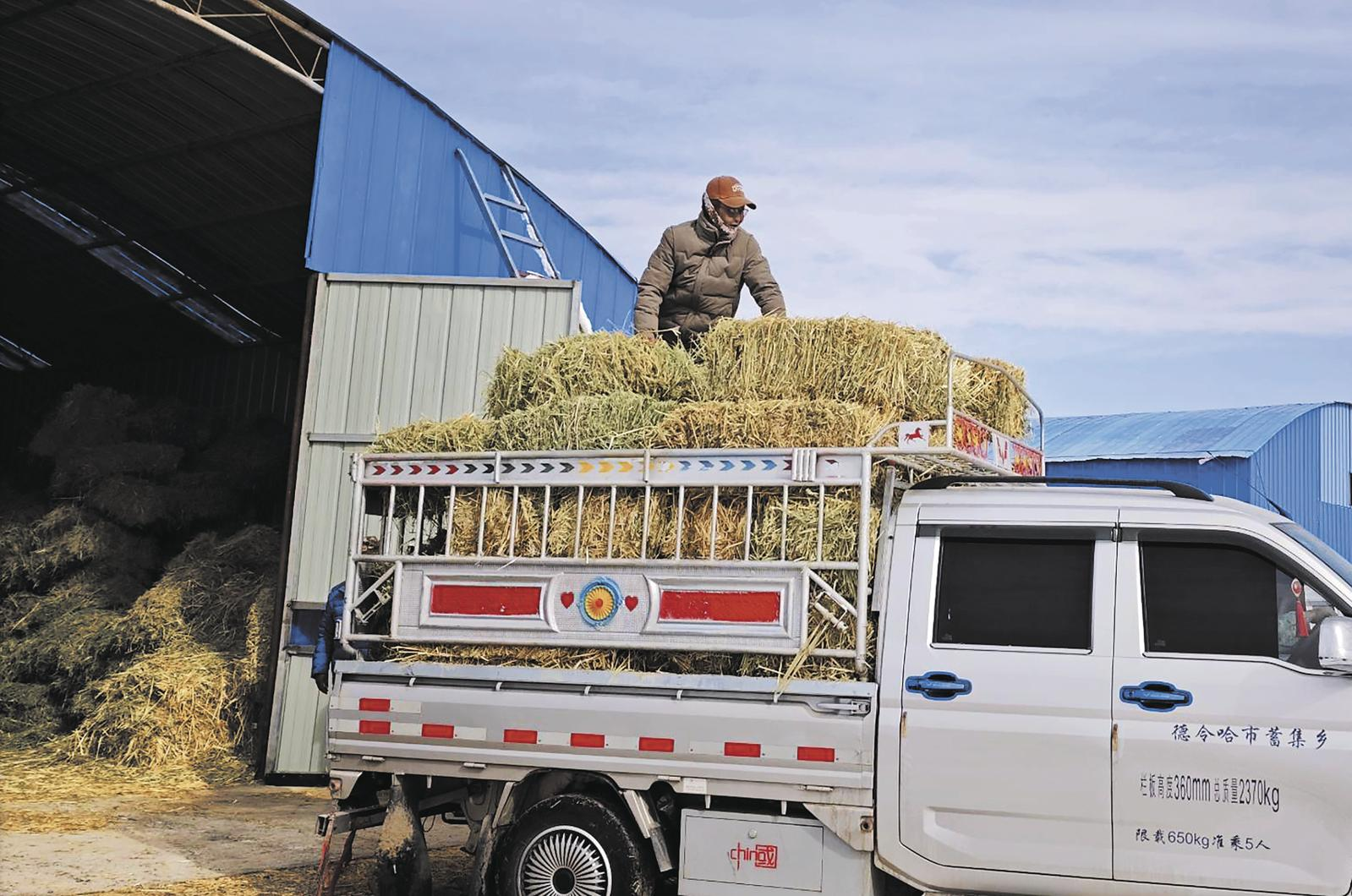 ΢�ňDƬ_20250316061906