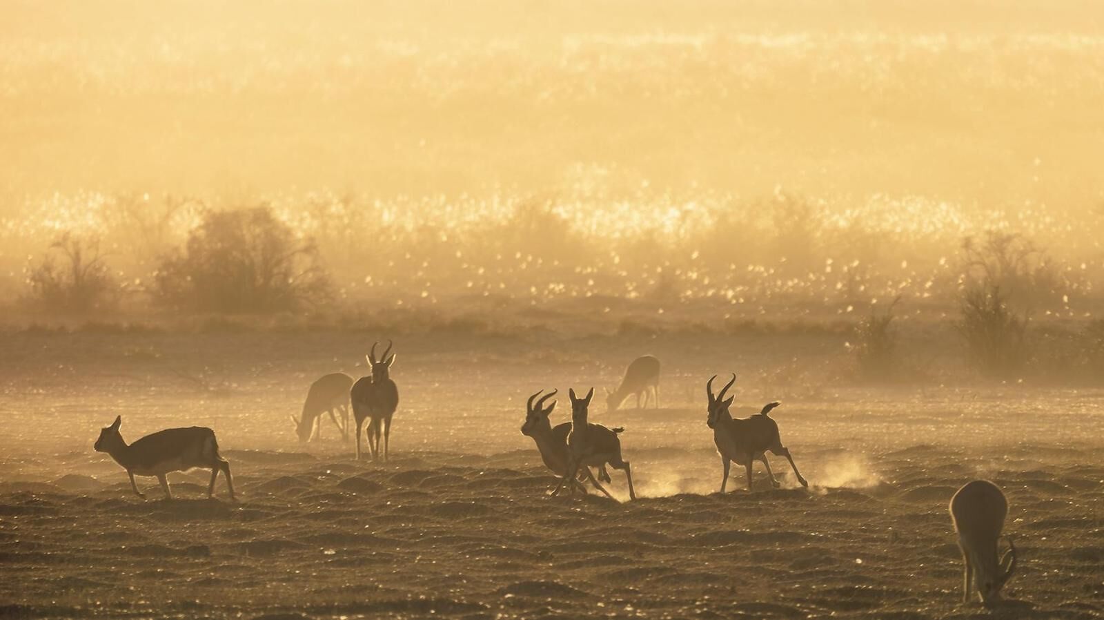 QQ�DƬ20250319060421