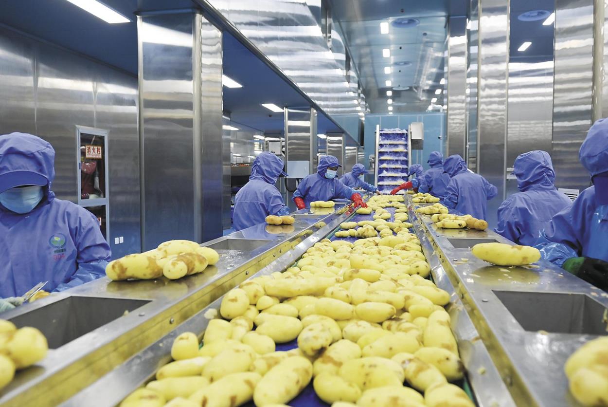 【堅(jiān)定信心 實(shí)干爭先】東西部協(xié)作薯?xiàng)l工廠助力鄉(xiāng)村振興