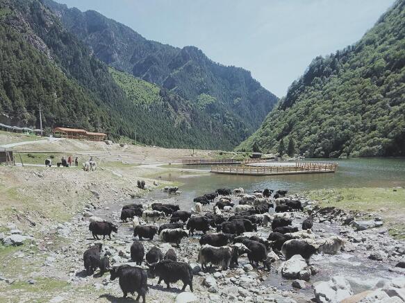 ţ���ŵ�ɽ���Ȫˮ�����������zӰ��ꐿ�